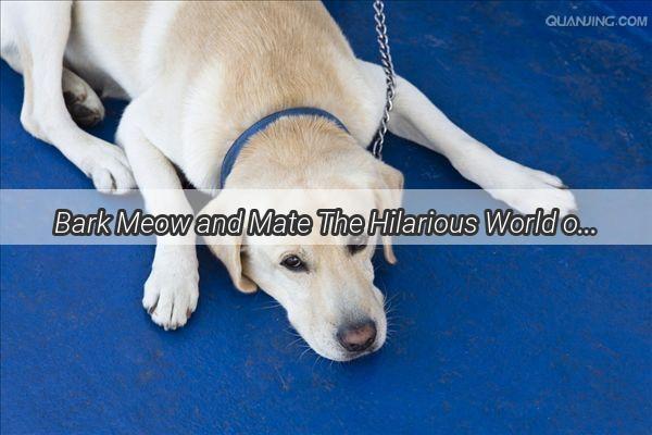 Bark Meow and Mate The Hilarious World of Canine Courting Rituals